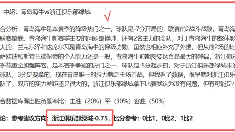 卡里克谈纽卡10人战痛心，休10天计划高效利用