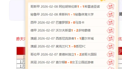 大乐透期号专家推荐：帕德博恩主场质合分析